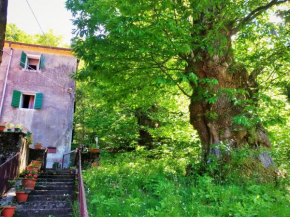 SINGLE HOUSE IN THE GREEN WILD! Casa Karmel Molino del Pallone